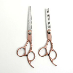 nT~ e e Up ƒp vdl Ɩp JbgVU[ oT~ ZjOVU[  ZtJbg wAJbg X^CO uE