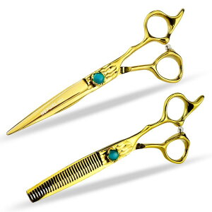 enT~ 20cm S[h Jbgp XLoT~ Op U ZtJbg vdl XeX i ؂ꖡ wAX^CO