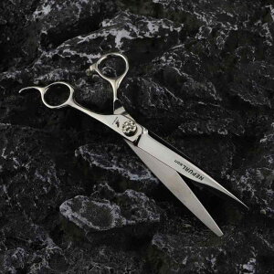 wAJbgVU[ pnT~ etp 23.33cm t^ Ou[h NoiWEXeX vdl i ؂ꖡQ Up Ɩ T