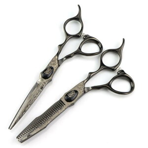 eVU[ enT~ UoT~ _}XJX| Xg[gn vp i XeX  ubN 20cm ʎdグ ؂ꖡQ ϋv