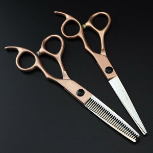 enT~ 20cm S[WX S[hJ[ wAJbgVU[ UnT~ JbgVU[ ZjOVU[ vdl p ZtJbg XeX ؂ꖡQ