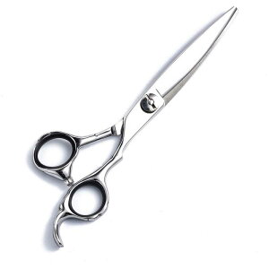 nT~ ؍ vdl et Xg[gVU[ XLoT~ ZjOVU[ tn XChVU[ Аn n ؂ꖡQ XeX p ZtwAJbg T {[