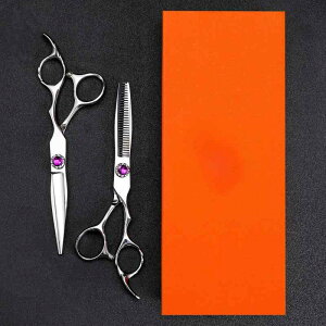 nT~ et et vdl vp Ɩp JbgVU[ ZjOVU[ XL΂ U їʒ  ZtJbg ؂ꖡQ i wAJbg 2{Zbg