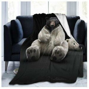 uPbg H~ ۉ  tl \t@Jo[ Ђ| ѕz ׃fW^vg 3DfUC |GXe _炩 Gǂ ₦΍