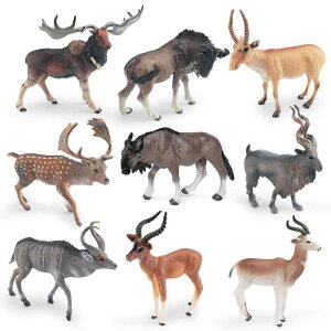 mߋ LbY 쐶 A tBMA k[ CE _}WJ TuCE \ECE ͌^ Zbg wK  F 4 5 6 RNV PVC