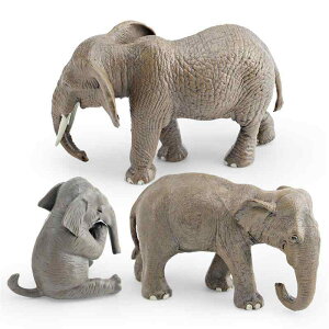 tBMA LbY A ]E AtJ]E AWA]E 쐶 mߋ PVCf CeA IuWF  RNV