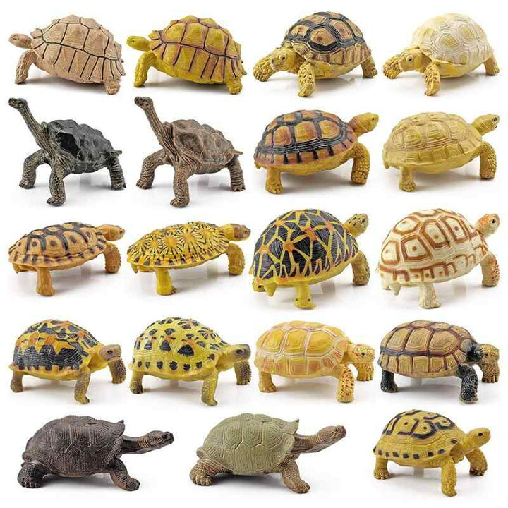 2026年最新】Yahoo!オークション -real 亀の中古品・新品・未使用品一覧 BACALYSO | 博物志 ガラパゴスゾウガメ 12cm級 亀 カメ フィギュア 動物 模型 置物 インテリア コレクション リア