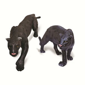 tBMA LbY qp A I ^ \bh PVCf X^`[ u IuWF wK  mߋ RNV CeA fBXvC 