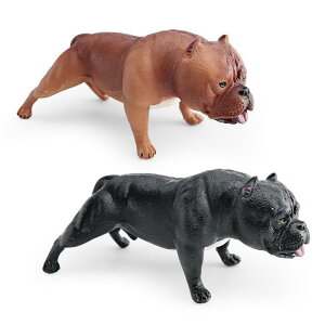 tBMA LbY AJu[ hbO A Iȑ`  mߋ PVC RNV fBXvC CeA IuWF 蕨(x2)