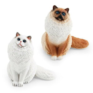 L LbY A tBMA Oh[ qL PVC ͌^ I u IuWF mߋ wK   fBXvC zCg IW j̎q ̎q