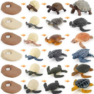 mߋ q Cm NK E~K ]EK TCN CtTCN wK͌^ A I tBMA PVC u Ԋώ@ IuWF fBXvC