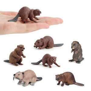 tBMA q LbY r[o[ 쐶 \bh p p ~jTCY m wK A If