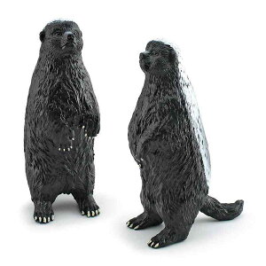 mߋ LbY qp ~cAiO} tBMA A I  p 쐶 M Ȋw wK u IuWF PVC