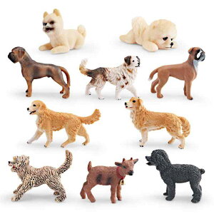 tBMA q A 킢 ~j`A hbOtBMA PVC S[fgo[ {NT[ v[h |[Y mߋ u CeA