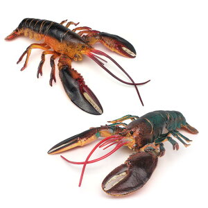  LbY ^ A {XguX^[ Cm tBMA PVC I m wKp fBXvC u CeA RNV v[g