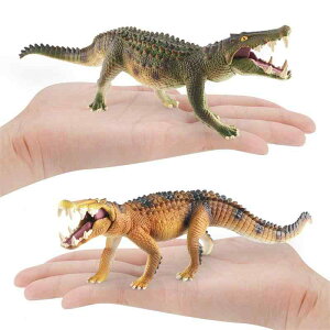 tBMA LbY q A j ӂ̐ 쐶 \bh I m wK   u IuWF RNV ߋ