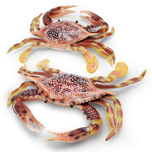 mߋ LbY qp A I Cm Jj tBMA ^Kj VI}lL wK fBXvC u CeA PVC