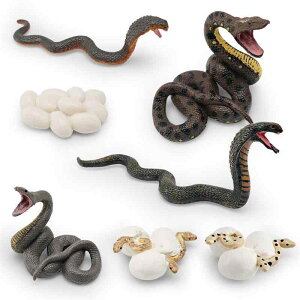 mߋ q  CtTCN ߒ f Ru pC\ wr A ώ@ wK Ԍn Ȋw  ~j`A tBMA u PVC