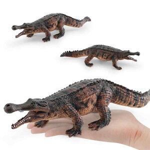 tBMA LbY   Ñ㐶 鉤j A Iȑ` PVCf ঒ wK mߋ IuWF fBXvC RNV