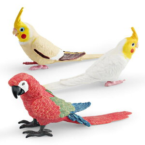 tBMA qp LbY 쐶  RSECR IJCR A I PVCf u IuWF CeA  RNV wKߋ mߋ