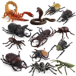 昆虫 動物 模型 キッズ 子供向け リアル 精密 立体 フィギュア クモ カマキリ カブトムシ クワガタ オオカブト コブラ サソリ 生物 学習 知育 教材 ジオラマ サンドテーブル ディスプレイ 置