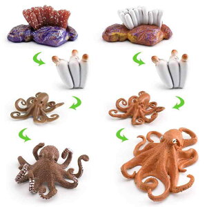 mߋ LbY q j̎q ̎q   ߒ wKf ~~Y TP JugKj ^R Ԍn ώ@ PVC A tBMA 