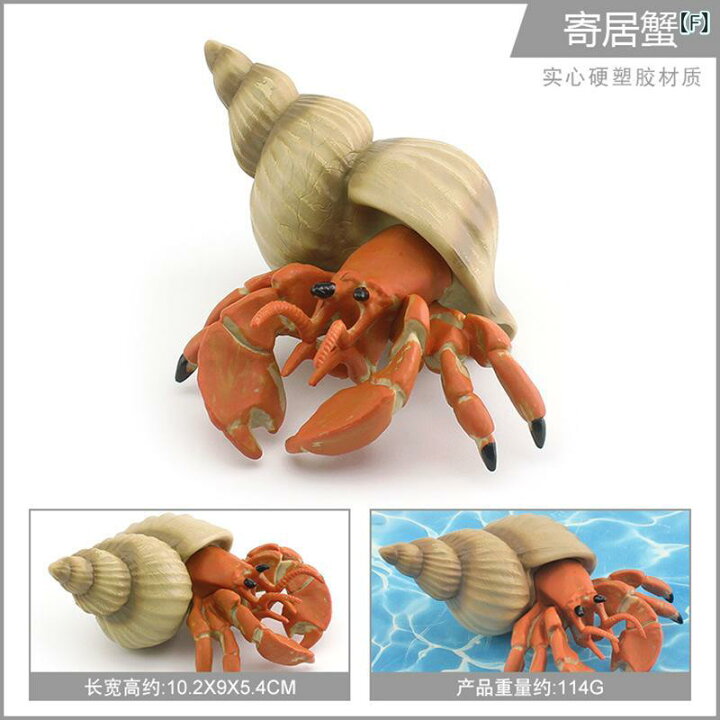楽天市場】海洋生物 フィギュア 子供向け リアル ヤドカリ カニ 精密 