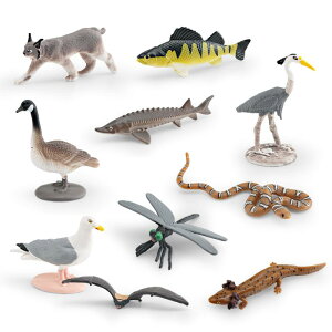 tBMA q LbY c A I ~j`A k 쐶 ͌^  TVEEI RE g{ ~Ywr }lR XYL mߋ wK  u RNV PVC