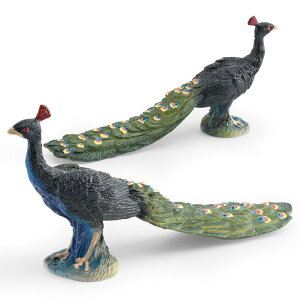 tBMA LbY mߋ Aȑ` PVC X̖쐶 E  CeA  u RNV a v[g j̎q ̎q