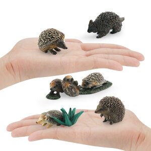 u nlY~ 5CZbg A IȖ쐶 ~j`AtBMA fXN  CeA 킢 炵 RNV IuWF fR[V 