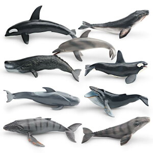 CmtBMA LbY q A I mߋ RNNW V` }bRENW }_CJ ViKXNW ͌^ u CeA IuWF