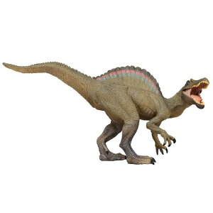  qp j̎q ̎q XsmTEX Aȑ` rbOTCY vX`bN PVCf \bh tBMA { mߋ  CeA RNV(x3)