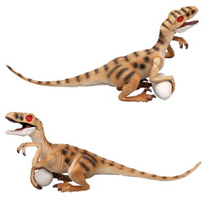 tBMA LbY j̎q ̎q WI A FLvg^ _  J r vX`bN  mߋ V RNV v[g(x5)