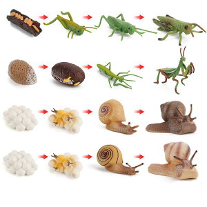 mߋ q ct c ȊwwK Fm͌ ob^ J^c J}L ߒ CtTCN tBMA ͌^ PVC IuWF wK(x2)