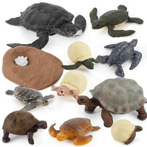 mߋ LbY A Cm NK ]EK E~K TCN wK  Ȋw tBMA ͌^ RNV fBXvC IuWF