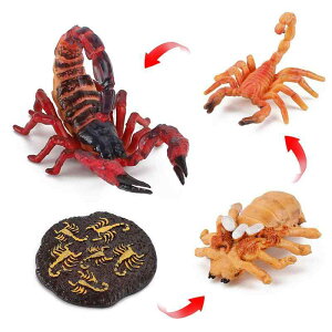 mߋ T\ A TCN ͌^ CtTCN  PVC wK  ώ@ fBXvC q LbY tBMA