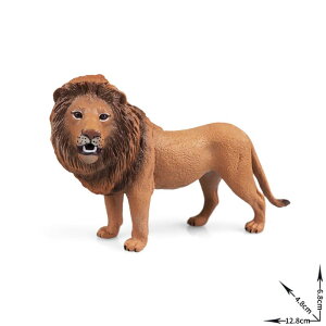 tBMA LbY qp j̎q ̎q 쐶 zCgCI A vX`bN PVC AtJ IuWF u X^`[  mߋ wKߋ CeA RNV 