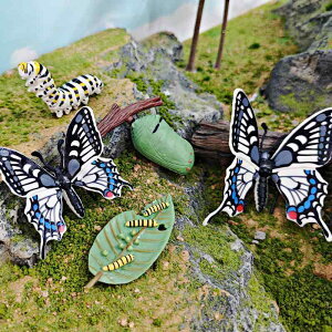 mߋ q AQn`E    TCN  wK f tBMA IuWF A I PVC w Ȋw   ώ@ fBXvC