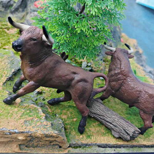 tBMA q LbY j̎q ̎q 4 5 6 쐶 Y u XyC A I PVC mߋ FmwK RNV CeA  u v[g