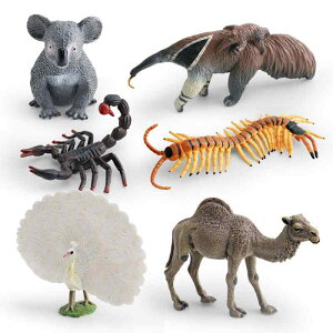 Aj}tBMA LbY RA ANC T\ N_ NWN Jf A 쐶 Iȑ` mߋ wK  fBXvC u PVC