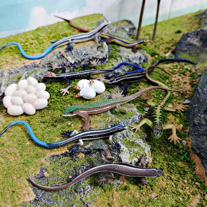 ͌^ LbY q gJQ ঒ TCN CtTCN IPVC mߋ wK ώ@Lbg R w A IuWF fBXvC u