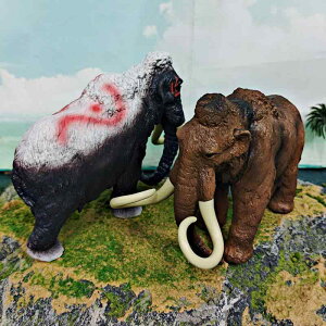 u qp }X A  쐶 jO Ð m wK CeA tBMA