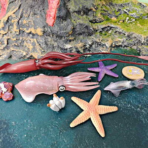 mߋ q 4 5 6 C̐ Cm ߒf A qgf RECJ CJ tBMA ώ@ Ȋw wK c  PVC I fBXvC IuWF W{