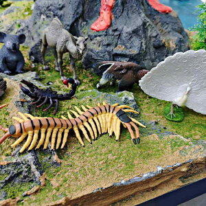 tBMA LbY 쐶 A ͕ IȖ͌^ PVC mߋ wKp fBXvC u RA ANC T\ N_ NWN Jf CeA