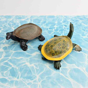 tBMA qp LbY A I WXb| J ͌^ PVCf mߋ wKp  ώ@ CeA  IuWF fBXvC