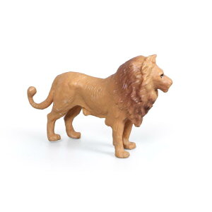 tBMA LbY qp ~j CI Jo g L ]E Zbg  \tr u v[g 