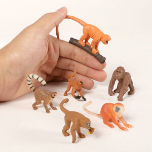 LbY tBMA ~jTCY ޖLx AȖ쐶 S T PVC \bh  Zbg RNV IuWF  q