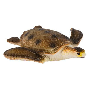  q LbY A Cm zzWU tBMA rbOTCY  \tr ȓ 炩f RNV CeA u fBXvC mߋ