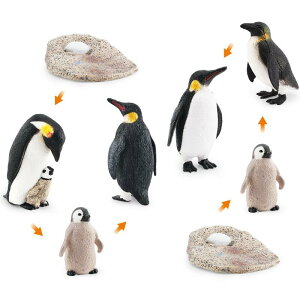 tBMA LbY q yM ߒ CtTCN wK͌^ A I REeCyM qi eq vX`bN mߋ fBXvC RNV u 