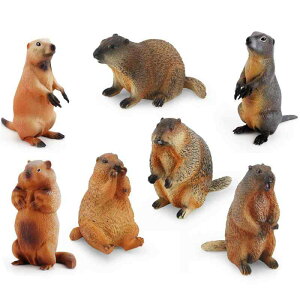  LbY qp A  f tBMA }[bg X V}X lY~ Ō` \bh u IuWF vX`bN ӏܗp 